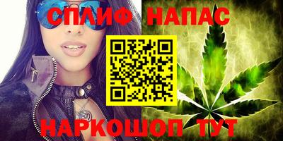 прущие грибы Комсомольск-на-Амуре
