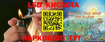 прущие грибы Комсомольск-на-Амуре